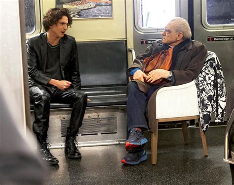 martin scorsese timothee chalamet